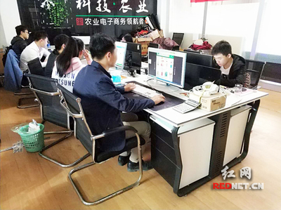 輸血變造血 衡陽市雁峰區(qū)以計(jì)算機(jī)技術(shù)培訓(xùn)為抓手，走深走實(shí)產(chǎn)業(yè)扶貧路